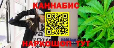 стафф Новозыбков